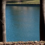 frame