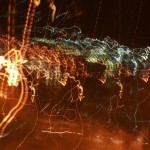 farfalle-nella-notte1